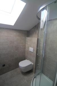 ein Bad mit einem WC und einer Dusche mit einem Dachfenster in der Unterkunft SeaHouse 114 in Mali Lošinj
