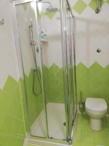 a bathroom with a shower and a toilet at Appartamento Silvana in Grosseto