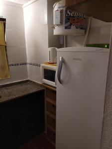Η κουζίνα ή μικρή κουζίνα στο Andrade 231 Apartamento