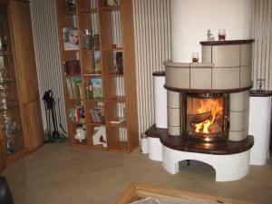 a living room with a fireplace and bookshelves at Ferienwohnung Schehl in Erlenbach