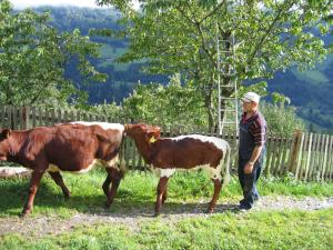 Fotografie z fotogalerie ubytování Bergbauernhof Untermoos v destinaci Taxenbach