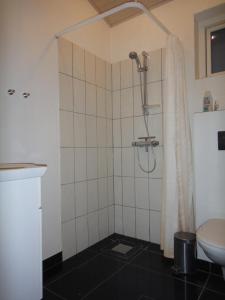 a bathroom with a shower and a toilet at Bente's Guesthouse in Holstebro