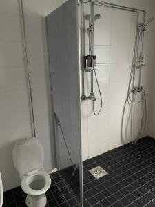 a shower stall with a toilet in a bathroom at Villa Saimaan Sydän in Puumala +103 photos