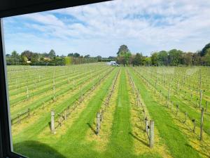Gallery image of Le Grá Vineyard and Winery in Masterton
