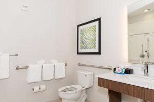 Ванная комната в Holiday Inn Express Hotel & Suites Tampa-USF-Busch Gardens, an IHG Hotel