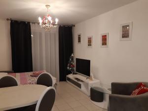a living room with a couch and a tv at Le Carré des fleurs in Strasbourg