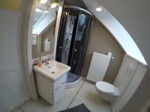 a bathroom with a sink and a toilet and a mirror at Apartmány Dúbrava in Dolný Kubín