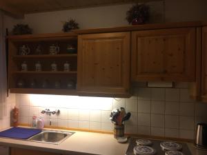 Kuchyňa alebo kuchynka v ubytovaní Katarina's cozy bungalov