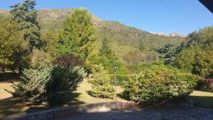 een tuin met struiken en bomen en een berg bij Chalets La Lucinda in Cortaderas