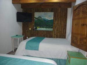 a bedroom with a bed and a tv on the wall at Hotel Tierra Maya in San Cristóbal de Las Casas