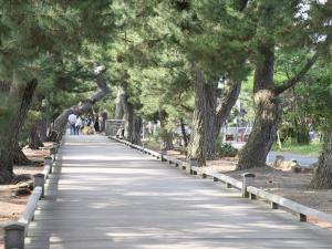 a boardwalk lined with trees in a park at Hotel Hagoromo in Shizuoka
