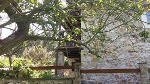 Zahrada ubytování La Casina de Abo