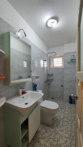een badkamer met een wastafel, een toilet en een douche bij De Studio HomeStay in Hanoi
