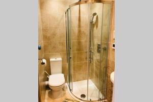a bathroom with a toilet and a glass shower at Seascape Cottage, Ventnor in Ventnor +30 photos