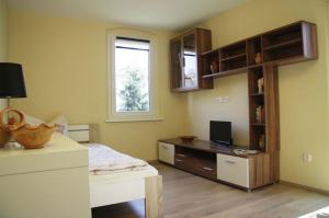 TV a/nebo společenská místnost v ubytování Ferienwohnung mit Balkon in Schmölln