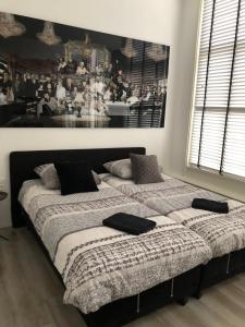 Een bed of bedden in een kamer bij Westerbinnensingel