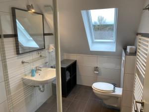 baño con lavabo y aseo y ventana en Harzidyll Living Apartements, en Braunlage