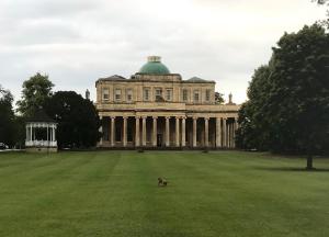 a dog standing in the grass in front of a building at Perfect location for Racecourse and town centre in Cheltenham