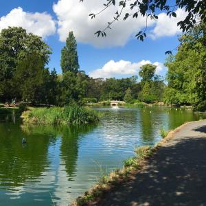 a view of a river in a park at Perfect location for Racecourse and town centre in Cheltenham