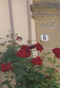 a bunch of red flowers in front of a clock at Residenz Nr.6 in Zapfendorf