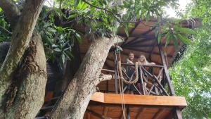 Fotografie z fotogalerie ubytování Green Park Safari House & Eco Tree House v Udawalawe
