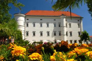 Photo de la galerie de l'établissement Ferienwohnung Hartlieb Goldeck Millstättersee, à Spittal an der Drau