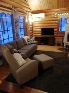 a living room with a couch and a flat screen tv at Levihaukka 10 in Sirkka