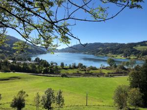 a view of a lake from a field at Rothenfels Panorama Hotel in Immenstadt im Allgäu