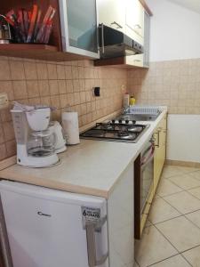 Kuchyňa alebo kuchynka v ubytovaní Apartments Branko