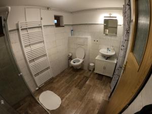 a small bathroom with a toilet and a sink at Apartmán U Sjezdovky in Železná Ruda
