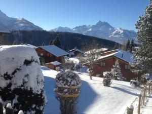 Příroda nedaleko apartmánu