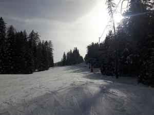 カヴァレーノにあるCasa Vacanze Luca e Cinziaの雪に覆われた木々の斜面、スキーリフト