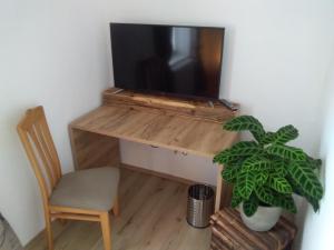 a desk with a television and a chair and a plant at Bike Pension Knausz in Pöls
