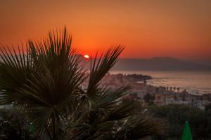 una puesta de sol sobre el océano con una palmera en Eliros Studios, en Stalós