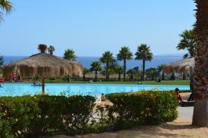 a swimming pool with a straw umbrella and palm trees at Laguna vista 903 in Algarrobo