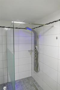 a shower with a glass door in a bathroom at Sonnenhaus Bara in Winterberg