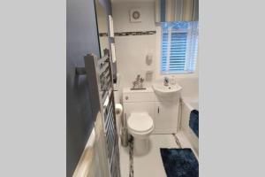 a bathroom with a white toilet and a sink at THE ANCHORAGE in Arrochar