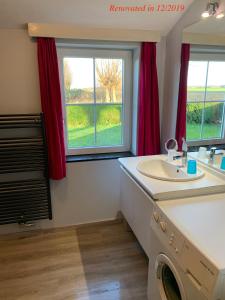 ein Badezimmer mit einem Waschbecken und einer Waschmaschine in der Unterkunft Villa Sint Anna in Sint Anna ter Muiden