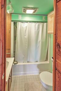 a bathroom with a shower curtain and a toilet at Cozy Lakefront Hale Cabin with Access to Boat Ramp! in Lupton +16 photos