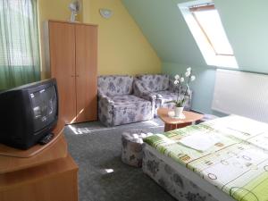 uma sala de estar com uma televisão e um sofá em Panoráma Szállás em Miskolctapolca