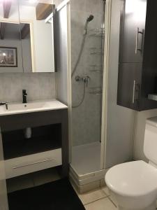 a bathroom with a shower and a sink and a toilet at Mazet Lavande in Saint-Martin-de-Brômes