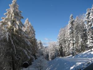 Hotel Zarja durante l'inverno