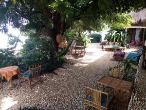 einen Garten mit Stühlen und Tischen unter einem Baum in der Unterkunft Saldomar B&Biosphere in Bubaque