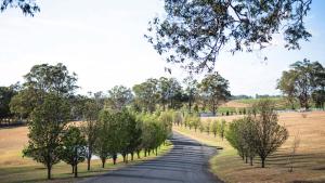 a road with trees in the middle of a field at voco™ Kirkton Park Hunter Valley, an IHG Hotel in Pokolbin