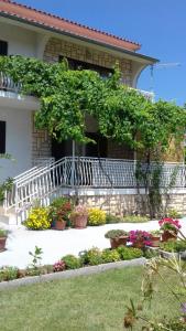 a group of flowers in front of a house at Apartment Jurat in Vodice