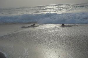 two people are laying on surfboards in the ocean at Kasa Mona in Calheta Do Maio