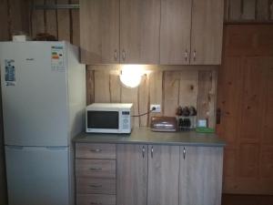 eine Küche mit einer weißen Mikrowelle und einem Kühlschrank in der Unterkunft Na Horbyku in Tatariw