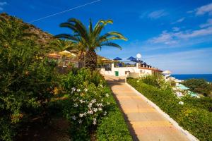 a house with a palm tree next to the ocean at Mariamare apts in Stalida