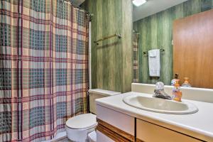 a bathroom with a sink and a toilet and a shower at Pet-Friendly Beech Mountain Condo Walk to Slopes in Beech Mountain +16 photos