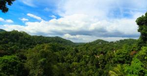 a view of a lush green forest under a cloudy sky at Orchid Villa Kandy in Kandy